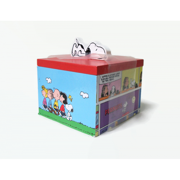 Peanuts Comics Themed Wood Box Snoopy Charlie Brown Woodstock Lucy Linus Sally