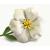 Vintage Large White Enamel Flower Brooch Big 4 inch 3D Floral Lapel Pin