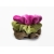 Clone of Velvet Hair Scrunchie Set of Three Fuchsia Pink Moss Green Toffee Brown