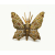 Vintage Damascene Style Butterfly Brooch Lapel Pin Made in Spain
