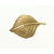 Vintage Gold Leaf or Feather Brooch Gold Small Feather or Leaf Shaped Pin Autumn Fall Jewelry Elegant Lapel Pin Vintage Gold Leaf or Feather Brooch Gold Small Feather or Leaf Shaped Pin Autumn