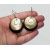 Abalone Seashell and Black Lucite Dangle Earrings Drop Hook Earrings for Pierced