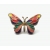 Colorful enamel butterfly pin
