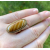 Vintage Avon 1978 Shimmering Sands Agate Ring Gold Hidden Adjustable Size 6 to 7