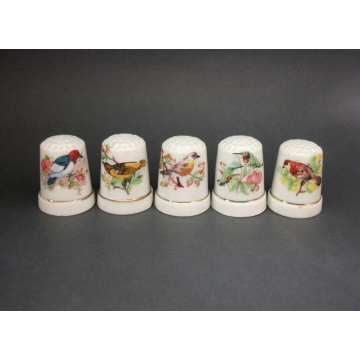 Set of Five 5 Vintage Bone China Bird Thimbles White with Nature Floral Flowers and Birds Images Pictures  Colorful Collectible Thimbles