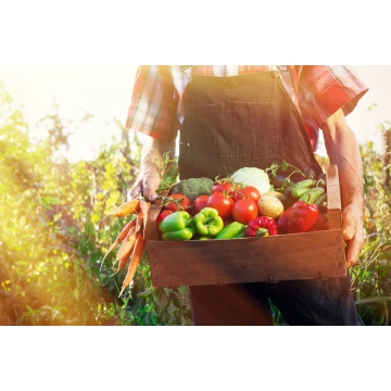 Lorum Ipsum dolor sit amet